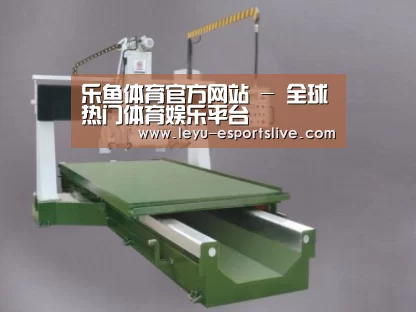 产品名称十