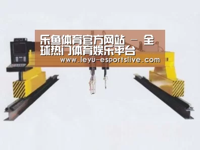 产品名称十九