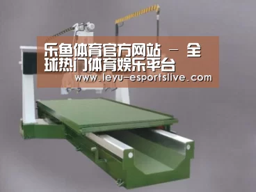 产品名称十
