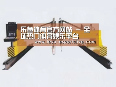 产品名称十九