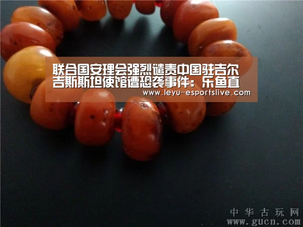 联合国安理会强烈谴责中国驻吉尔吉斯斯坦使馆遭恐袭事件:乐鱼直播(图2) 乐鱼体育平台