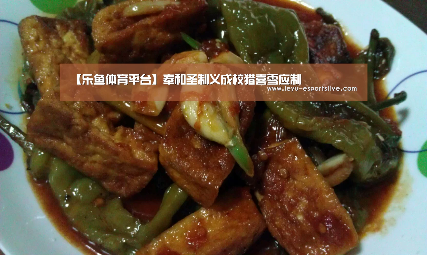 乐鱼真人娱乐
