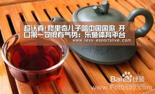 乐鱼体育APP