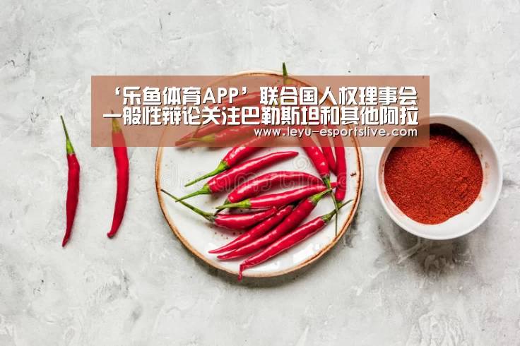 ‘乐鱼体育APP’联合国人权理事会一般性辩论关注巴勒斯坦和其他阿拉伯被占领土的人权状况(图1) 乐鱼真人娱乐