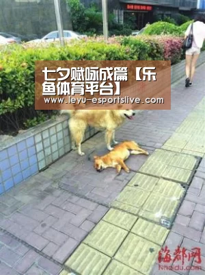 七夕赋咏成篇【乐鱼体育平台】(图1) 乐鱼体育APP