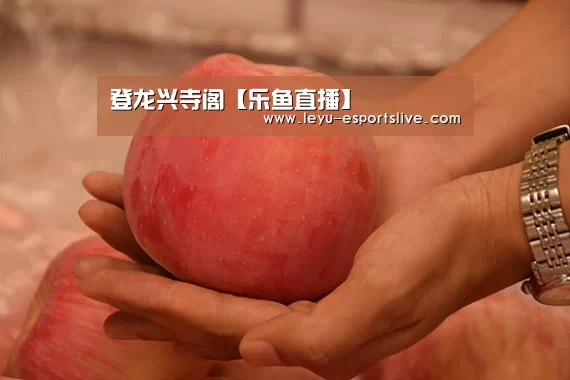 登龙兴寺阁【乐鱼直播】(图1) 乐鱼体育平台