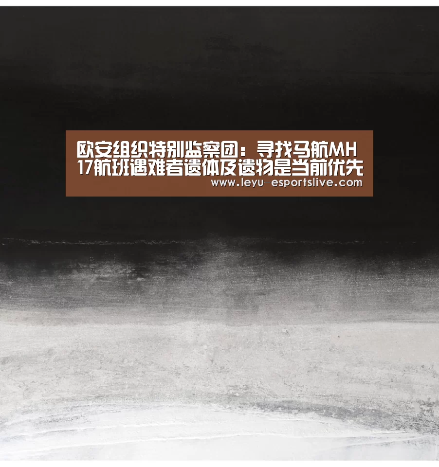 欧安组织特别监察团:寻找马航MH17航班遇难者遗体及遗物是当前优先工作‘乐鱼体育平台’(图1) 乐鱼体育APP