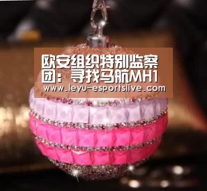欧安组织特别监察团:寻找马航MH17航班遇难者遗体及遗物是当前优先工作‘乐鱼体育平台’(图2) 乐鱼体育APP