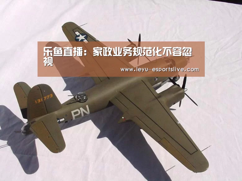 乐鱼直播:家政业务规范化不容忽视(图3) 乐鱼真人娱乐
