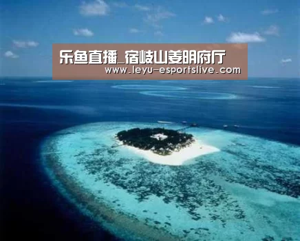 乐鱼体育APP
