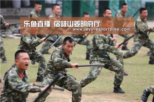 乐鱼体育APP